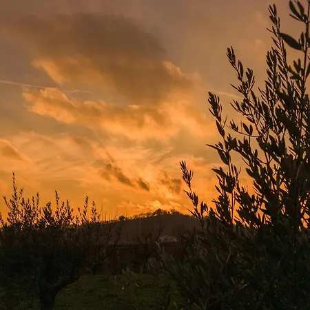Ca Nova Farma Castellaro (Lombardy)